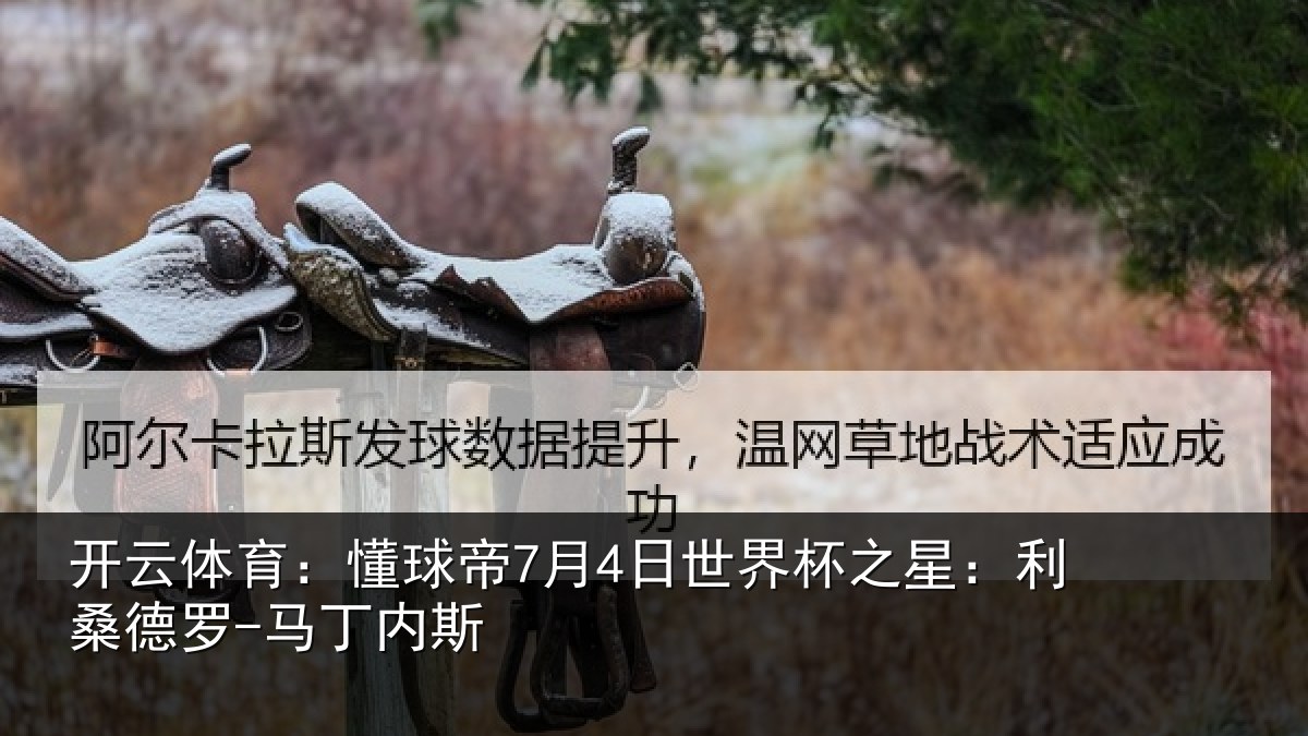 开云体育:懂球帝7月4日世界杯之星:利桑德罗-马丁内斯
