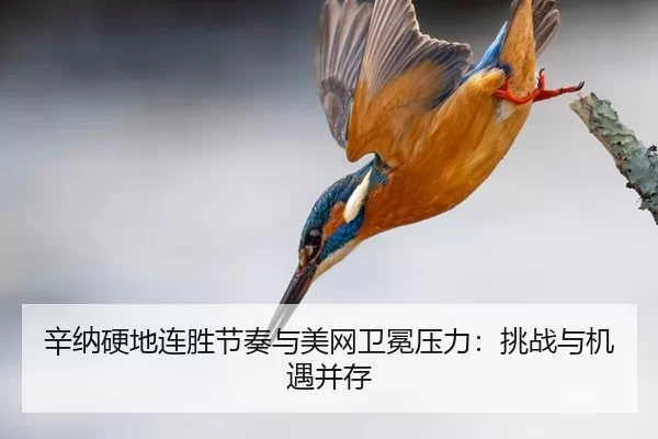 xin-na-ying-di-lian-sheng-jie-zou-yu-mei-wang-wei-mian-ya-li-tiao-zhan-yu-ji-yu-bing-cun-2-913.jpg