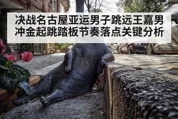 决战名古屋亚运男子跳远王嘉男冲金起跳踏板节奏落点关键分析